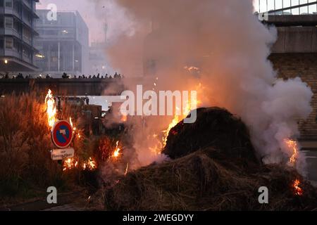 Bordeaux, France. 25 janvier 2024. © PHOTOPQR/Sud Ouest/Fabien Cottereau ; Bordeaux ; 25/01/2024 ; agriculteurs en couleur à Bordeaux devant la préfecture - French farmers' Protest Continuer France Bordeaux Jan 25, 2024 Credit : MAXPPP/Alamy Live News Banque D'Images