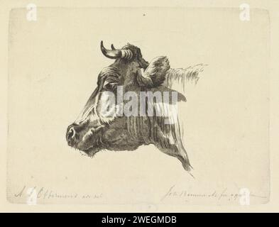 Tête de vache à droite, Joannes Bemme, d'après Anthony Jacobus Offermans, 1800 - 1841 papier d'impression gravure vache (+ tête d'un animal) Banque D'Images