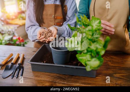 Travaux de magasin d'usine. gros plan des mains des femmes impliquées dans la transplantation à l'aide d'un arrosoir, d'outils de jardin, de terre fraîche sur une table en bois. Effet éblouissant du soleil Banque D'Images