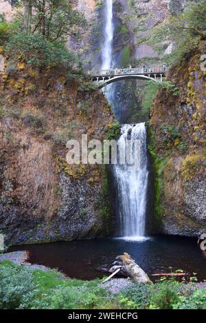 Les magnifiques chutes de Multnomah tombent en cascade sur la falaise abrupte. Le deuxième niveau se déverse dans la petite piscine à la base. Le pont donne accès à la vue rapprochée des chutes. Banque D'Images