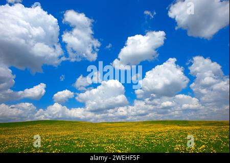 Nuages blancs du beau temps, Cumulus humilis, dans le ciel bleu au-dessus d'une prairie jaune avec des pissenlits, Bavière Banque D'Images