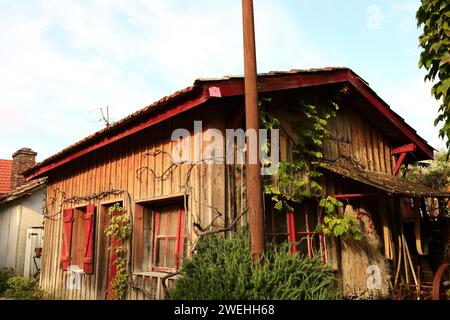 Le Canon est un village de la commune de Lège-Cap-Ferret Banque D'Images