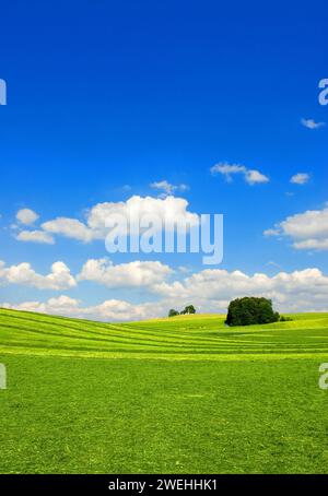 Paysage de prairie avec prairies fauchées, récolte de foin, et ciel bleu avec nuages blancs, près du lac Starnberg, Bavière, Allemagne, Europe Banque D'Images