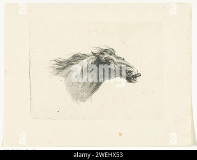 Paardenhoofd, à droite, Joannes Bemme, d'après Gerrit Malleyn, 1801 papier d'imprimerie gravure cheval (+ tête d'animal) Banque D'Images