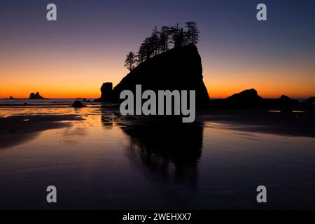 Deuxième plage coucher du soleil, Olympic National Park, Washington Banque D'Images