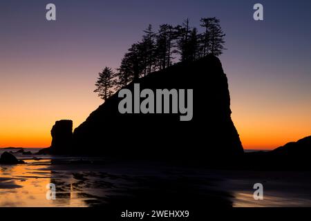 Deuxième plage coucher du soleil, Olympic National Park, Washington Banque D'Images