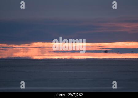 Paysage de la mer de Beaufort commençant à geler au début de l'automne, 1002 zone de la réserve faunique nationale de l'Arctique, Alaska Banque D'Images