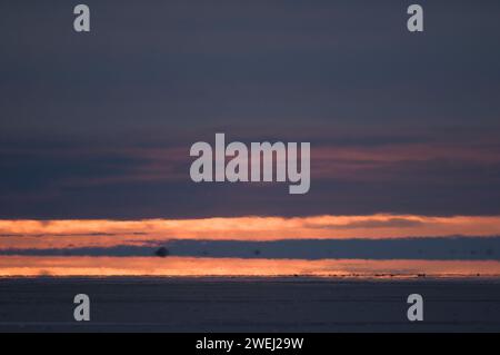 Paysage de la mer de Beaufort commençant à geler au début de l'automne, 1002 zone de la réserve faunique nationale de l'Arctique, Alaska Banque D'Images