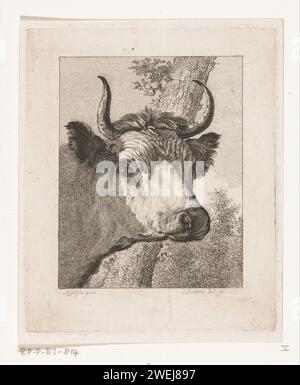 Tête de vache à droite, Joannes Bemme, d'après Jan Asselijn, après 1802 papier d'impression gravure vache (+ tête d'un animal) Banque D'Images