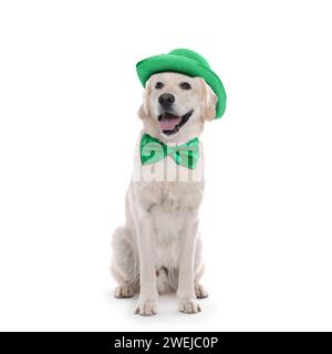 St. Fête de Patrick. Mignon chien Golden Retriever avec chapeau vert et noeud papillon isolé sur blanc Banque D'Images