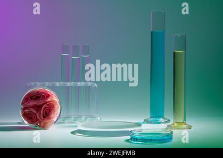 Scène pour la publicité cosmétique de l'extrait de rose avec concept de laboratoire. Espace vide sur le podium pour le produit de présentation, le liquide rempli de verrerie de laboratoire et le ros Banque D'Images