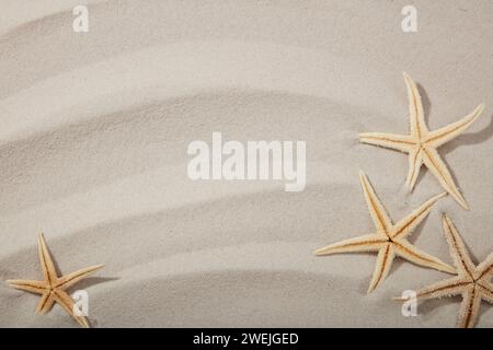 Vacances d'été et maquette de sable de beauté avec étoiles de mer et vague de sable beige. Vue de dessus et espace de copie Banque D'Images