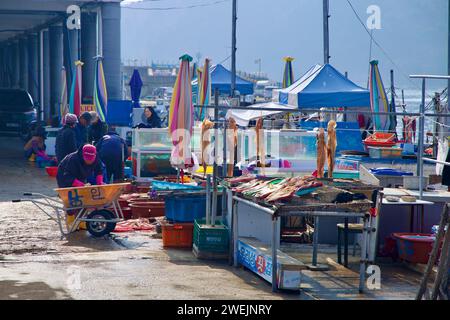 Samcheok City, Corée du Sud - 28 décembre 2023 : les travailleurs du marché d'Imwon Port trient les prises de la journée, avec des poissons suspendus pour sécher et disposés sur table Banque D'Images