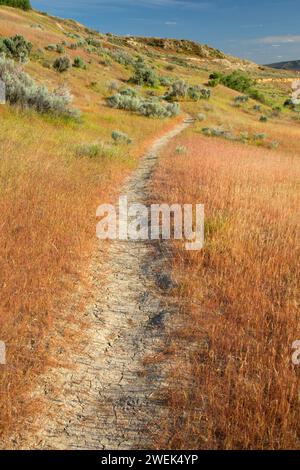 Trail at White Bluffs, Hanford Reach National Monument, Washington Banque D'Images