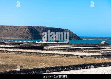 Salinas de Janubio sont les plus grandes salines des îles Canaries. Les Salinas sont un spectacle naturel unique à Lanzarote. Espagne, Europe Banque D'Images