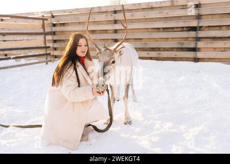 Portrait de jeune femme attrayante en manteau de fourrure caressant et nourrissant mignon jeune renne sur la ferme de cerfs enneigés le jour ensoleillé de l'hiver. Banque D'Images