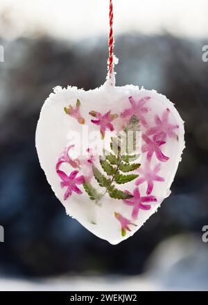 Décor glacé fait à la main en forme de coeur fait de glace, feuille de fougère et fleurs de jacinthe accrochées à la branche d'un arbre à l'extérieur dans un jardin enneigé d'hiver. Banque D'Images