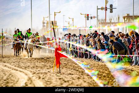 Pékin, la région autonome chinoise de Xizang. 24 janvier 2024. Une course de chevaux a lieu à Singpori, dans la ville de Shannan, dans la région autonome de Xizang, dans le sud-ouest de la Chine, le 24 janvier 2024. Crédit : Jiang Fan/Xinhua/Alamy Live News Banque D'Images