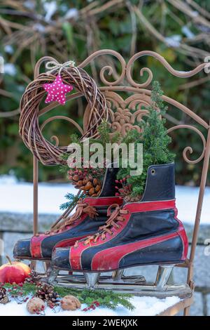 arrangement de jardin d'hiver avec patins vintage et conifères Banque D'Images