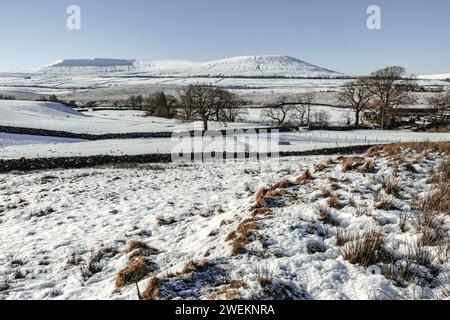 Paysage hivernal des Yorkshire Dales avec beaucoup de neige sur le sol, des murs de pierres sèches, des arbres et un ciel ensoleillé lumineux. Vue vers Ingleborough, grand angle Banque D'Images