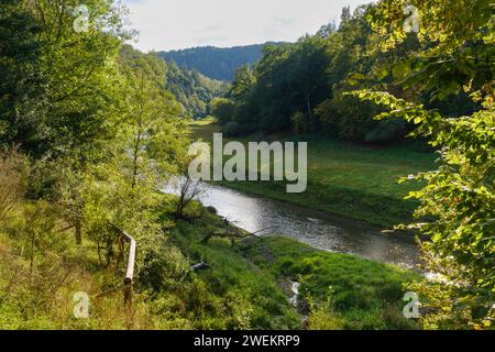 Rivière Urft dans la vallée de l'Urfttal, parc national Eifel Banque D'Images