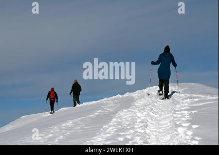 Schneeschuh Wandern im Naturpark Beverin, Graubünden, Schweiz *** randonnée en raquettes dans le Parc naturel Beverin, Graubünden, Suisse Banque D'Images