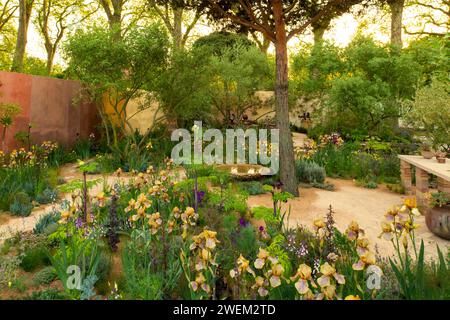 Benton Irises dans le jardin Nurture Landscapes conçu par Sarah Price. Banque D'Images