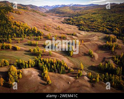 Un tir de drone saisissant les couleurs vives de l'automne peignant le paysage ondulé de l'Altaï, illuminant sa beauté naturelle. Banque D'Images