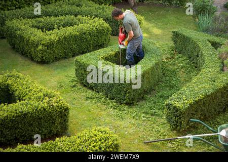 Élagage jardinier une haie dans un labyrinthe avec tondeuse électrique, elevated view Banque D'Images