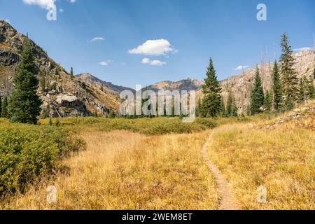 Sentier de randonnée dans la nature sauvage du mont Zirkel, Colorado Banque D'Images