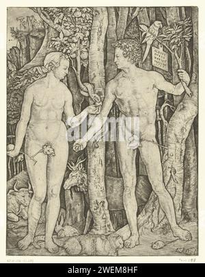 Adam et Eva au Boom de la connaissance du bien et du mal au Paradis pendant l'automne, Marcantonio Raimondi (attribué à), d'après Albrecht Dürer, 1504 - 1536 gravure sur papier la tentation et l'automne (scènes avec Adam et Ève) Banque D'Images