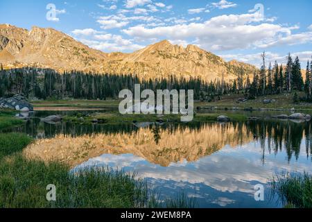 Reflets de coucher de soleil dans la nature sauvage du mont Zirkel, Colorado Banque D'Images