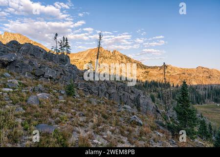 Paysage dans la nature sauvage du mont Zirkel, Colorado Banque D'Images