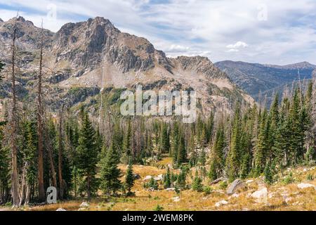 Paysage classique dans la nature sauvage du mont Zirkel, Colorado Banque D'Images