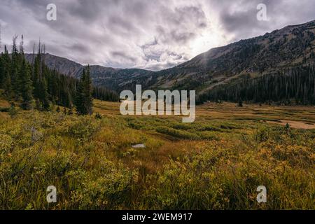 Swamp Park dans la nature sauvage du mont Zirkel, Colorado Banque D'Images