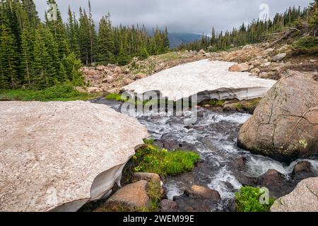 Début de l'été dans la nature sauvage d'Indian Peaks, Colorado Banque D'Images