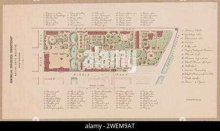 Carte de Artis Zoo à Amsterdam, Anonyme, 1858 - 1919 imprimer le zoo en papier (comme lieu de loisirs). jardin zoologique, zoo, vu comme lieu où les animaux non domestiques sont gardés. Plan, carte du jardin Artis Banque D'Images