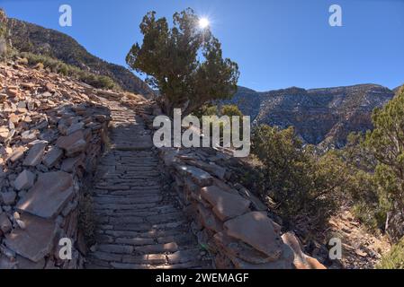 Chemin rocheux dans Hermit Canyon Grand Canyon AZ Banque D'Images