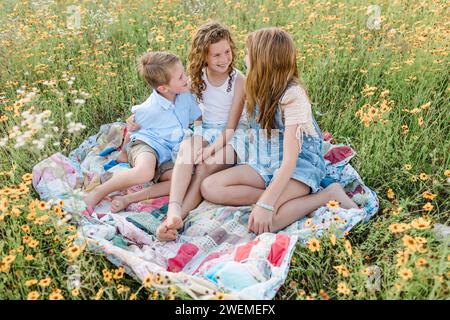 Frères et sœurs assis sur une couette dans un champ de fleurs un jour de printemps Banque D'Images