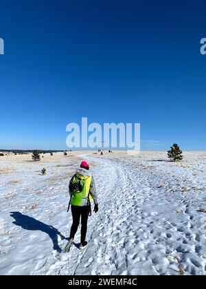 Randonneur solitaire et chien sur Snowy Colorado Trail Banque D'Images