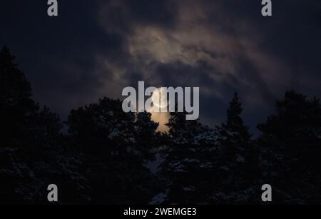 la pleine lune rayonne à travers les nuages et les arbres Banque D'Images