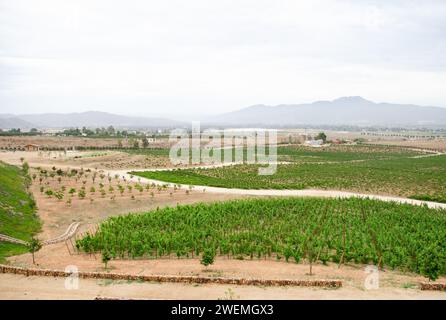 Paysage nuageux de jour dans un vignoble à Valle de Guadalupe, Mexique Banque D'Images