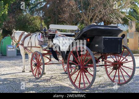 01, 22, 2024 ronda, malaga, espagne voiture à cheval avec un cheval blanc dans un parc public Banque D'Images