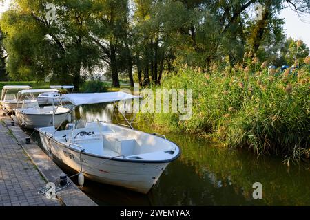 Les bateaux sont amarrés à une jetée dans un plan d'eau calme entouré de roseaux, marina, Batuv kanal, canal de Bata, Skalica, Skalica, Trnavsky kraj, Slovaquie Banque D'Images