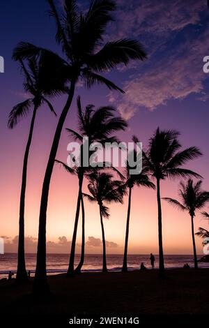 Une scène tranquille capture des silhouettes de palmiers contre un ciel de coucher de soleil vibrant sur la plage de Grande Anse sur la pittoresque île de la Réunion. Banque D'Images