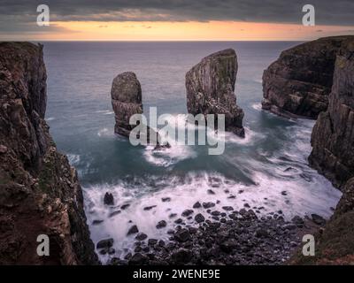 L'Elegug s'accumule sur la côte du Pembrokeshire au lever du soleil. Banque D'Images