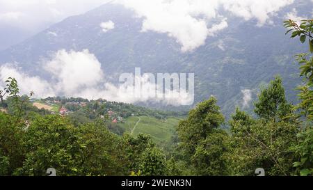 nuageux et brumeux luxuriants collines de l'himalaya et vue panoramique sur la campagne près de la station de colline darjeeling dans la saison de la mousson, inde Banque D'Images