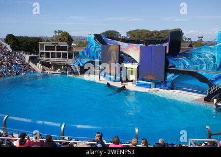 SeaWorld San Diego est un parc à thème situé à Mission Bay, San Diego, Californie, États-Unis. Il organise de multiples spectacles de baleines quotidiens controversés. Banque D'Images