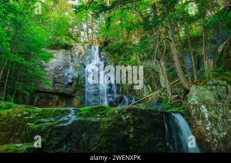 Chute d'eau à la fin du printemps sur la décharge de Rock Pond dans la région sauvage du lac Pharoah dans les montagnes Adirondack de l'État de New York Banque D'Images