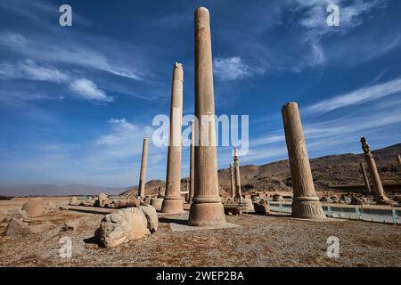 Colonnes restantes du palais Apadana en ruine à Persépolis, capitale cérémonielle de l'Empire achéménide (550–330 av. J.-C.). Province de Fars, Iran. Banque D'Images